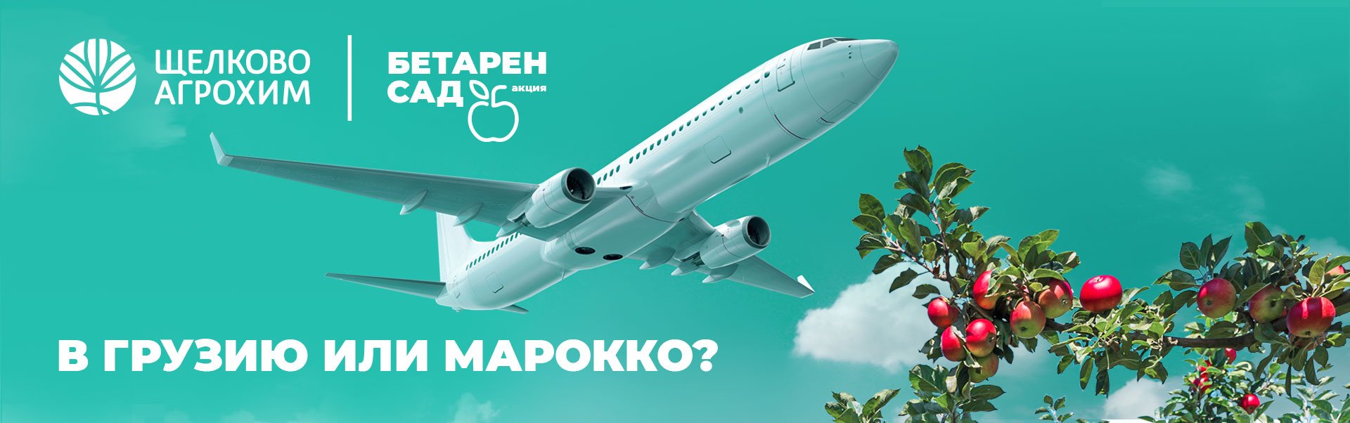 В Грузию или Марокко?